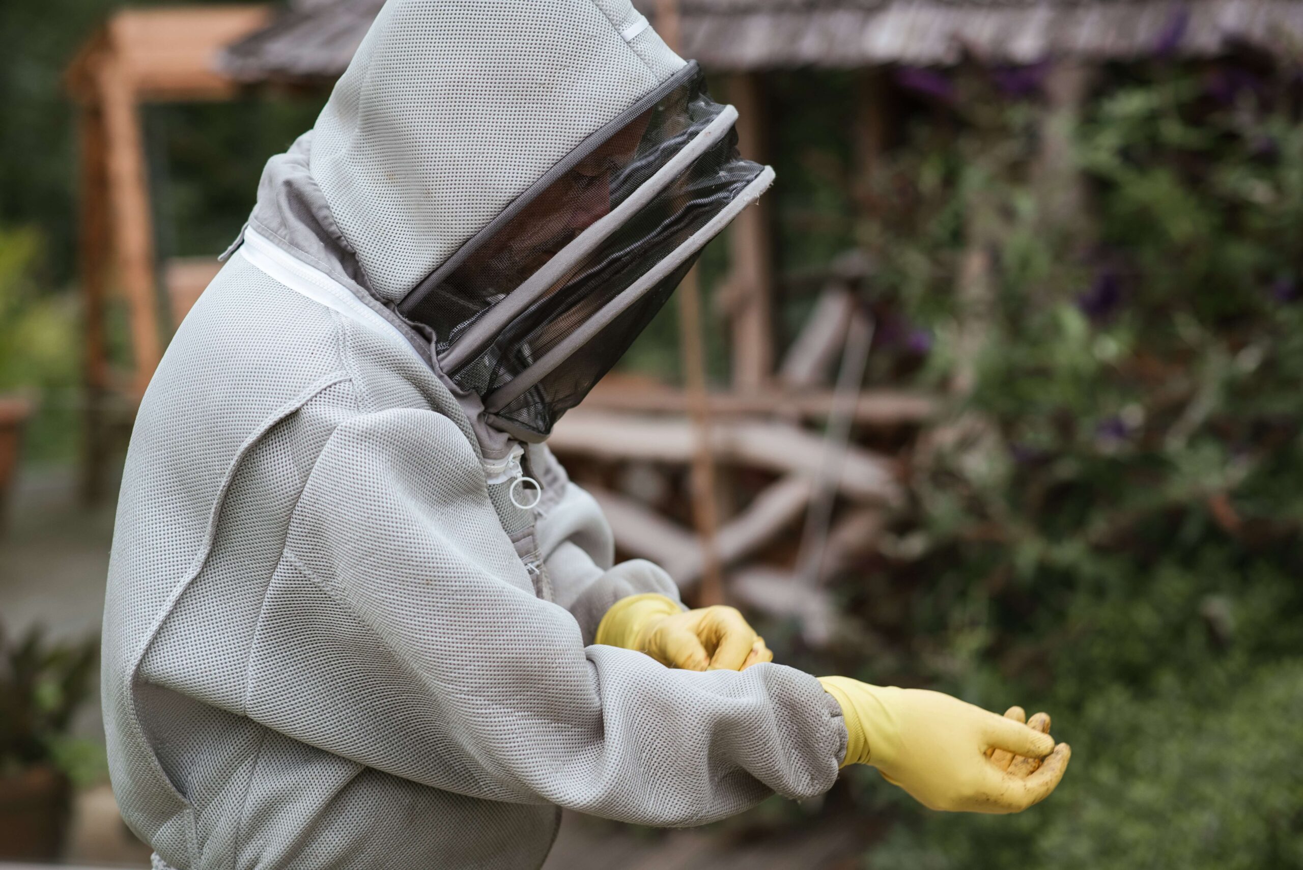 Good Beekeeping Practices – B-THENET