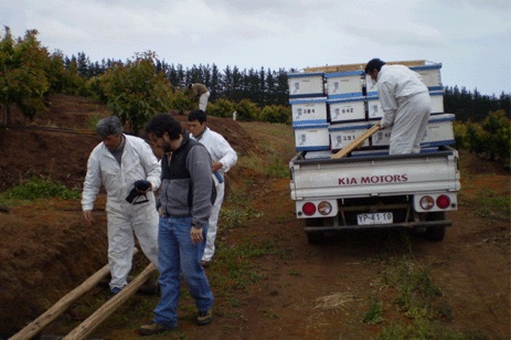 Cumplimiento de la normativa nacional sobre apicultura trashumante