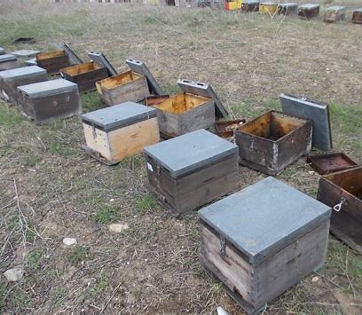 Μόνο μεταφορά μελισσών /ή πλαισίων απαλλαγμένων από ασθένειες μεταξύ αποικιών μελισσών