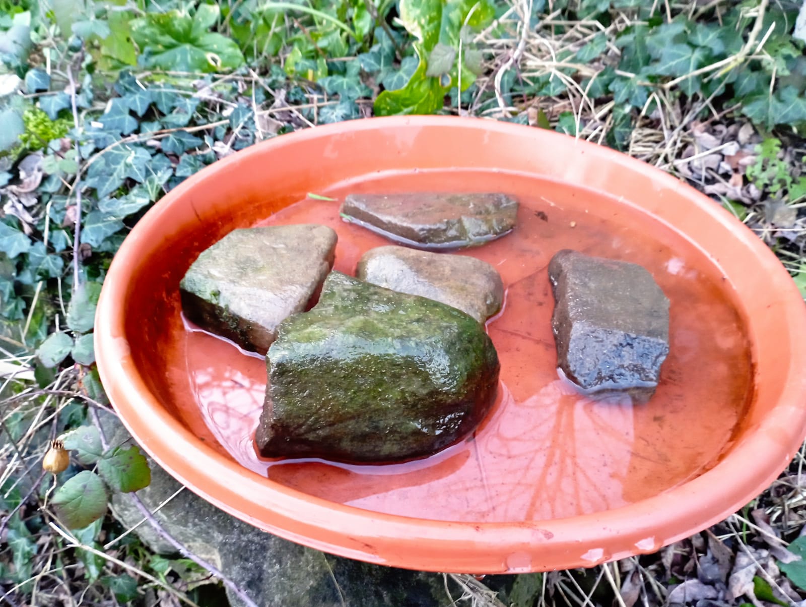 Fornire una fonte d’acqua costante